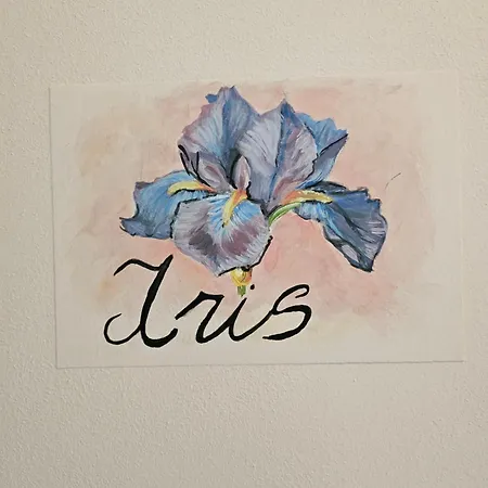 Palazzo Glicine 3* Cotignola