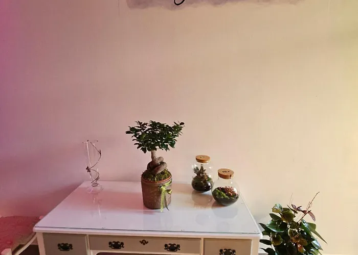 公寓式酒店 Palazzo Glicine 科蒂尼奥拉