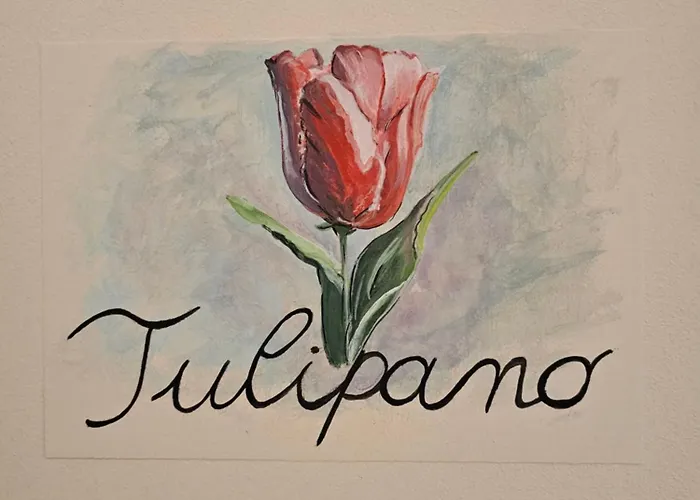 Palazzo Glicine 3* 科蒂尼奥拉